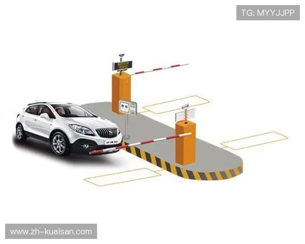 无感支付与数字身份验证在场内深度融合 优化了商业网点的人流引导逻辑